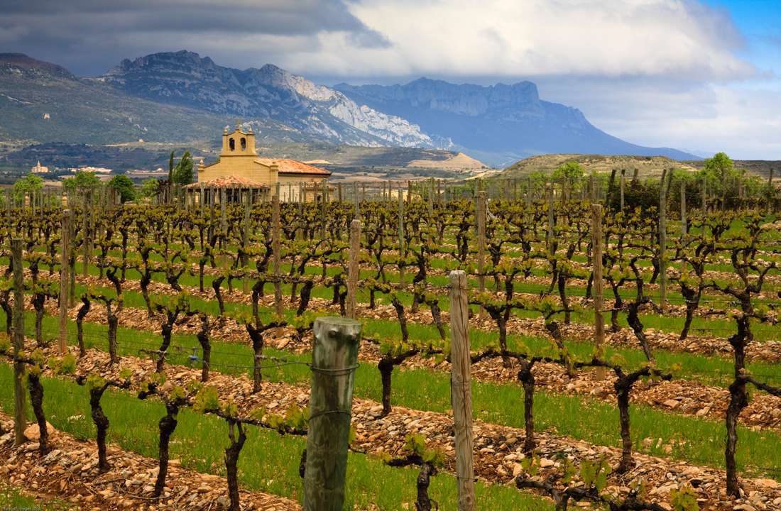 of Tour & Essential Wine Spain France