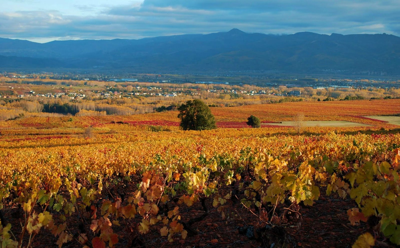 La Rioja Испания